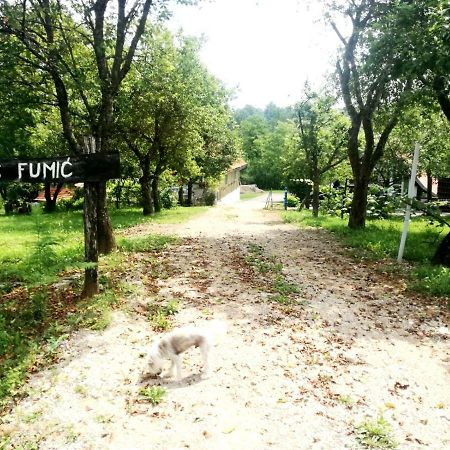 Apartman Nino Tounj Bagian luar foto