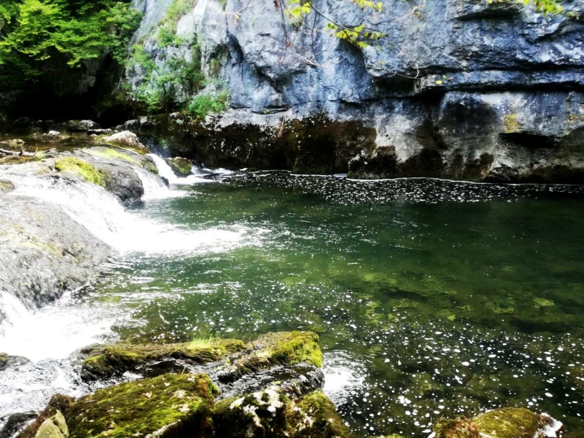 Apartman Nino Tounj Bagian luar foto