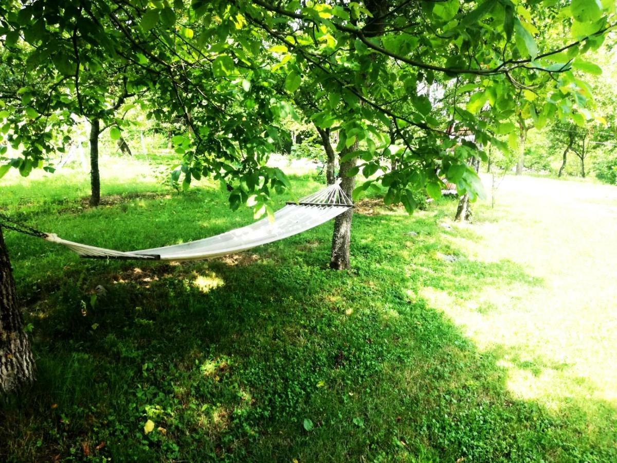 Apartman Nino Tounj Bagian luar foto