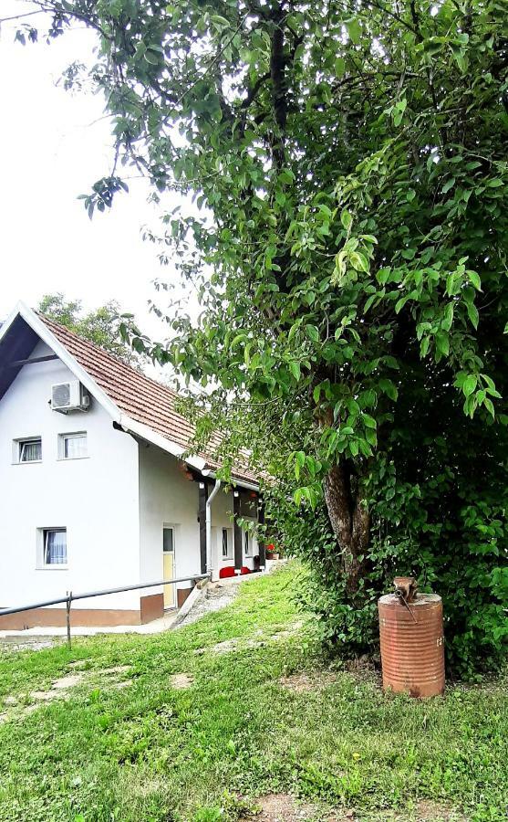 Apartman Nino Tounj Bagian luar foto