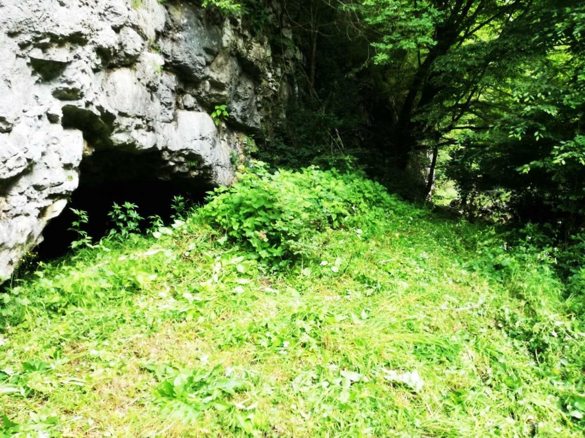 Apartman Nino Tounj Bagian luar foto