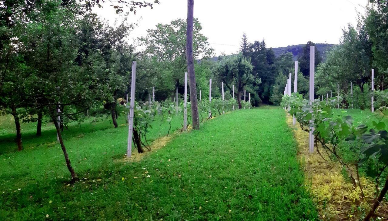 Apartman Nino Tounj Bagian luar foto