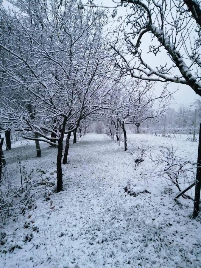 Apartman Nino Tounj Bagian luar foto